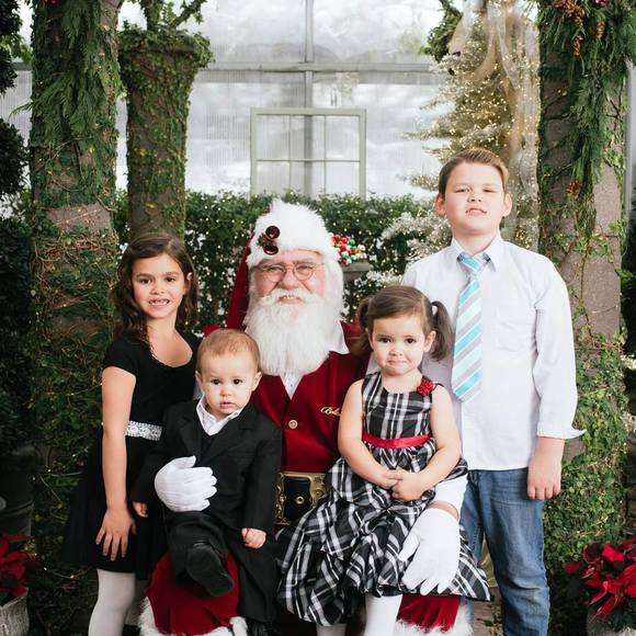 Meet your Posher, Penny - Picture 1 of 1